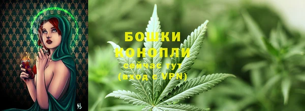 хмурый Липки