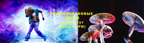 хмурый Липки