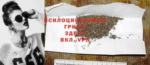 хмурый Липки