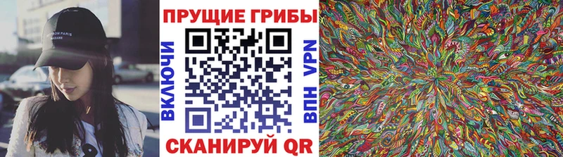 Псилоцибиновые грибы мицелий  как найти наркотики  Ханты-Мансийск 